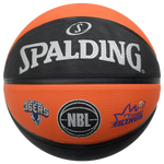 Tournament Spalding Basketball